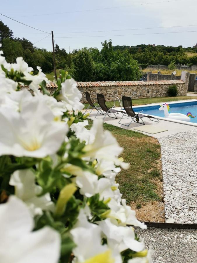 Villa Accordia Labin  Exteriér fotografie